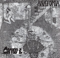 ANATOMIA/GRAVESITE - Split EP
