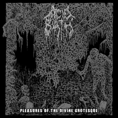 ACID BIRTH - Pleasure Of The Divine Grotesque LP