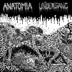ANATOMIA/UNDERGANG - Split LP